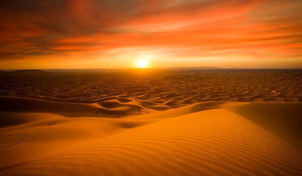 Desert safari in red sand with vip service in Dubai