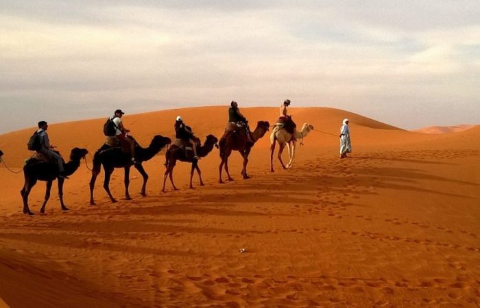 Morning Desert Safari With Camel Ride in Dubai